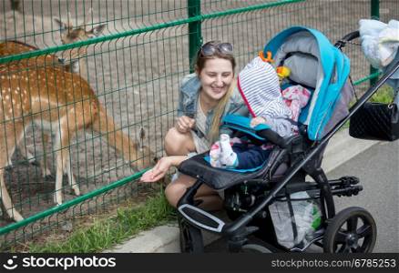Beautiful smiling mother showing animals to her baby boy in the zoo