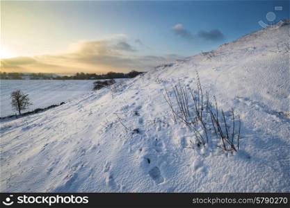 Beautiful snow covered sunrise Winter countryside landscape