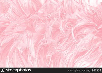 Beautiful soft pink color trends wool feather pattern texture background