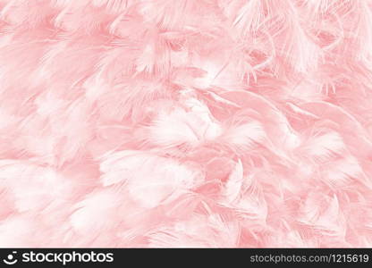 Beautiful soft pink feather pattern texture background