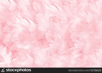 Beautiful soft pink feather pattern texture background