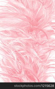 Beautiful soft pink feather pattern texture background