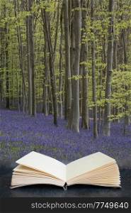 Beautiful soft spring light in bluebell woods in English countryside during calm mornng coming out of pages on book in composite image