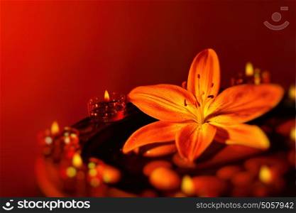 Beautiful spa composition, fresh lily flower on the spa stones decorated with candles over red background, romantic still life with copy space, alternative medicine, beauty treatment concept