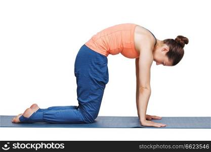 Beautiful sporty fit woman doing yoga asana marjariasana - cat pose gentle warm up for spine  also called cat-cow pose  in studio isolated on white. Beautiful sporty fit yogini woman practices yoga asana marjariasana