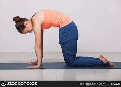 Beautiful sporty fit yogini woman practices yoga asana marjariasana - cat pose gentle warm up for spine (also called cat-cow pose) in studio. Beautiful sporty fit yogini woman practices yoga asana marjarias