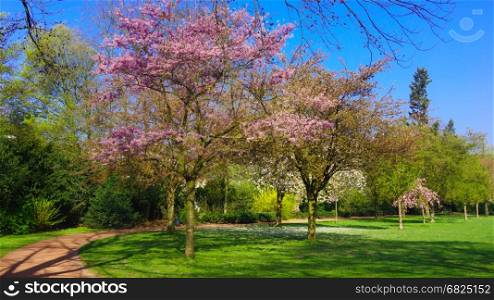 beautiful Spring background