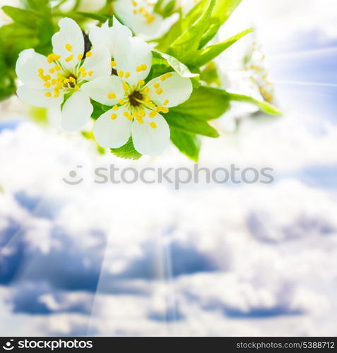 Beautiful spring bokeh over blue sky, for design