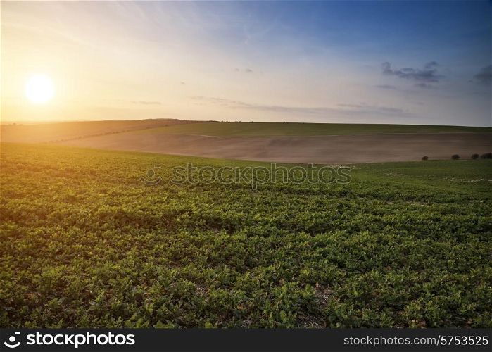 Beautiful Spring evening light over fields landscape on farm