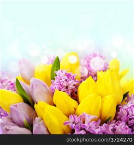 Beautiful spring flowers on blue sky background