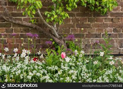 Beautiful Spring landscape image of typical English country garden scene