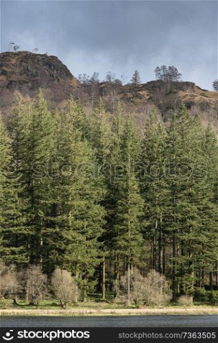 Beautiful Spring landscape image of Yew Tree Tarn in UK Lake District