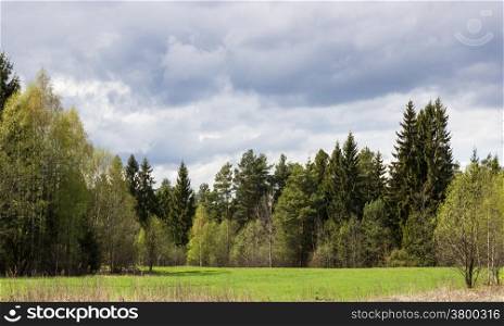 Beautiful spring landscape with green grass and clouds.