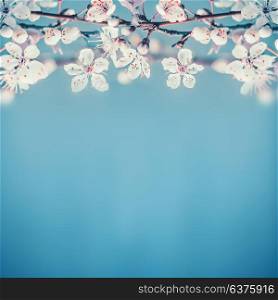 Beautiful spring nature background with white cherry blossom on turquoise blue background, place for text