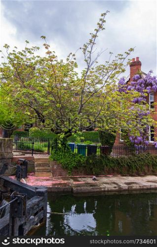 Beautiful spring scene at Rochdale Canal in Castlefield, Manchester of the canal, a traditional house and blossomed plants