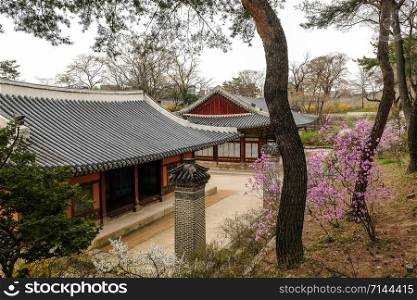 Beautiful spring season at Changgyeonggung Palace in Seoul, South Korea