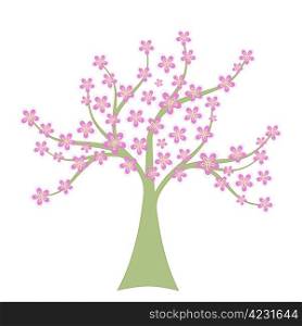 Beautiful spring tree isolated on white background