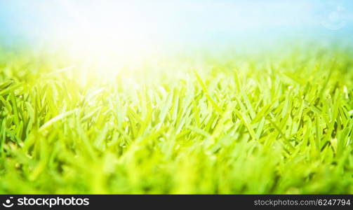 Beautiful springtime landscape, sunny day, fresh green grass, blue sky, rural field, spring nature