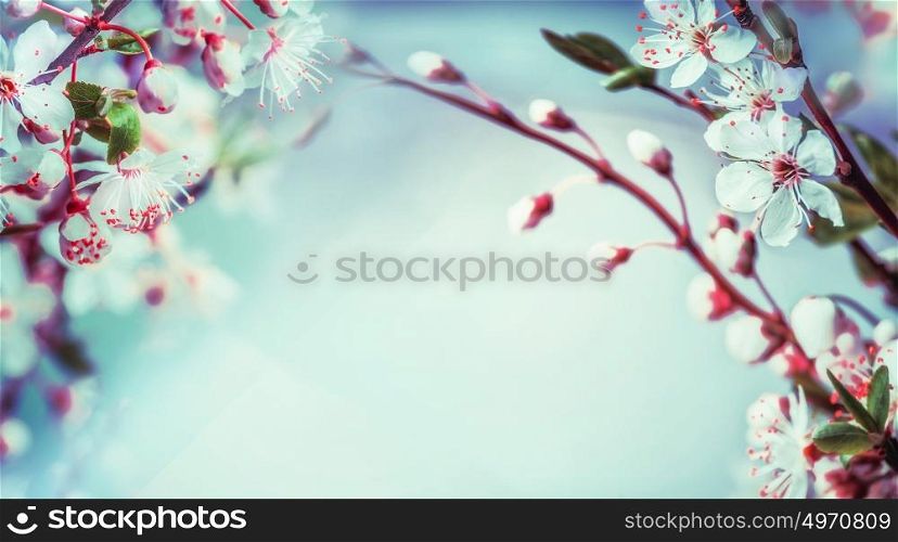 Beautiful springtime nature background with cherry tree blossom at blue sky, outdoor