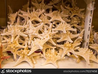 Beautiful starfish for decorative purposes