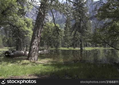 Beautiful still lake in Yosemite Valley