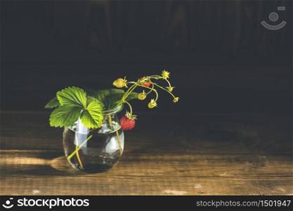 Beautiful still life with perfect sunbeam on branch of wild raw ripe strawberries with leaves in glass jar, dark wooden surface.