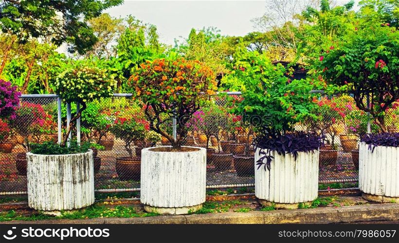 Beautiful Stone Flowerbeds. stone flowerbeds with flowers in garden of thailand