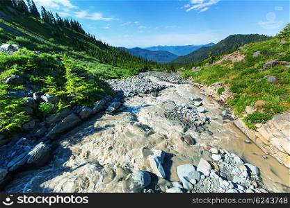 Beautiful stream of the mountain river