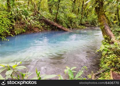 Beautiful stream water flowing down in rain forest. Costa Rica, Central America