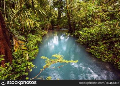Beautiful stream water flowing down in rain forest. Costa Rica, Central America