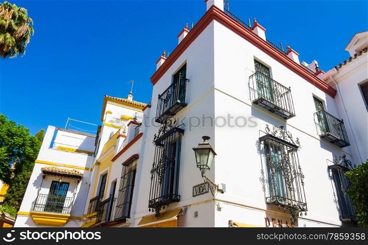 beautiful streets full of typical color of the Andalusian city of Seville, Spain