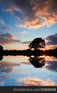 Beautiful Sumer sunset silhouette reflected in still waters of lake
