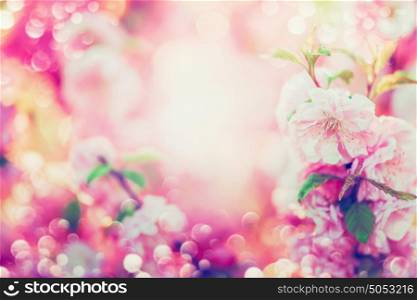 Beautiful summer floral background with pink blooming , sun shine and bokeh