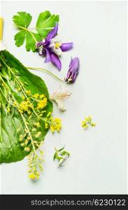 Beautiful summer garden flowers with leaves and petal on light background, top view, close up