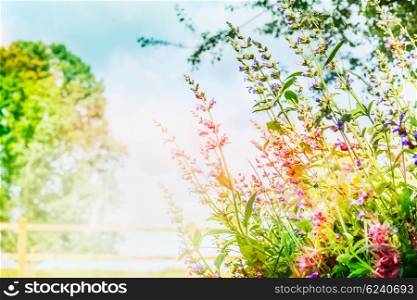 Beautiful summer garden or park background with pink flowers and sunlight, outdoor nature background