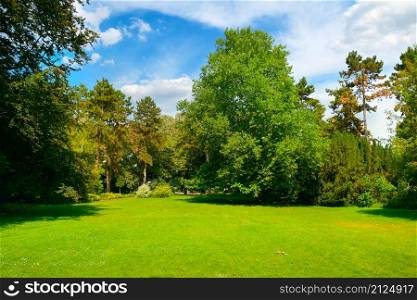 Beautiful summer garden with large green meadow and tall trees.