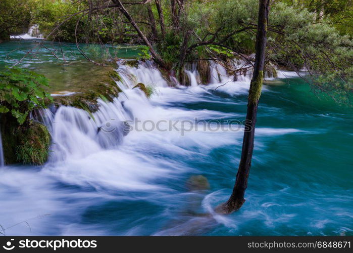 Beautiful summer green forest waterfall