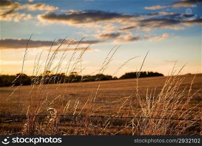 Beautiful Summer image of sun shining and backlighting countryside landcape