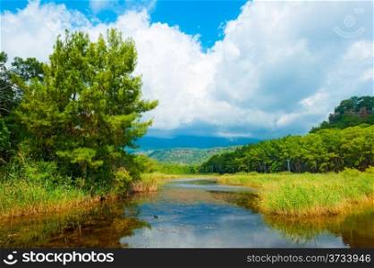 beautiful summer landscape and clouds
