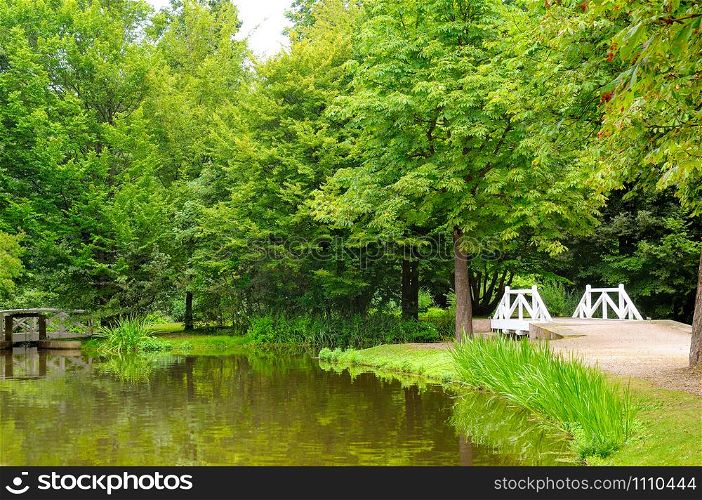 Beautiful summer landscape. City park with a small pond, paths and a bridge.