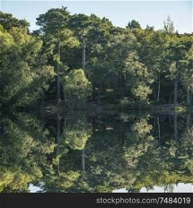 Beautiful Summer landscape image of countryside woodland reflected in calm lake