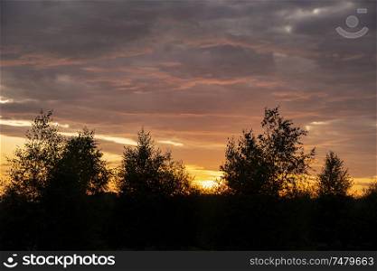 Beautiful Summer landscape image of forest during sunset with stunning colorful vibrant sky