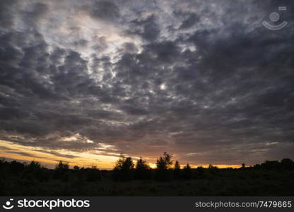 Beautiful Summer landscape image of forest during sunset with stunning colorful vibrant sky