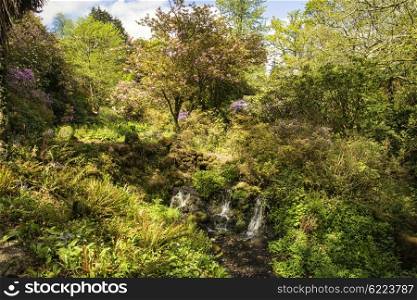 Beautiful Summer landscape image of stream flowing over rocks in waterfall in countryside