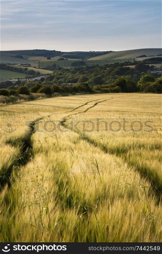 Beautiful Summer landscape of agricultural fields in English countryside during soft sunset light