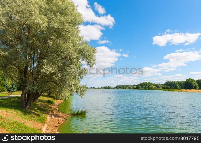 beautiful summer landscape - pond and trees on the shore on a sunny day