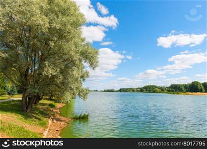 beautiful summer landscape - pond and trees on the shore on a sunny day