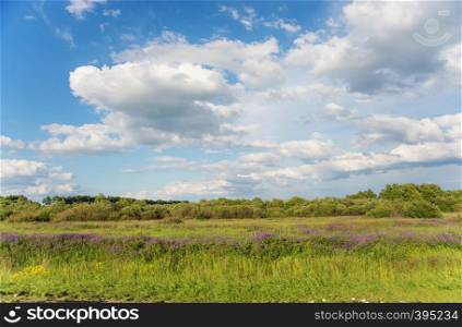 Beautiful summer landscape with flowering meadow, green trees and bushes and blue sky with white clouds