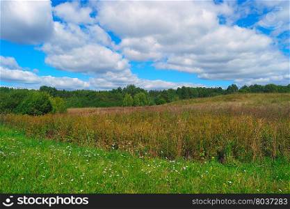 Beautiful summer landscape with grass, trees, sky and clouds