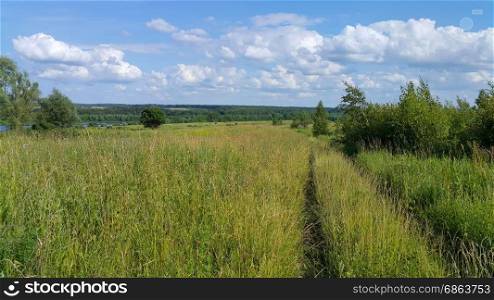 Beautiful summer landscape with herbs, trees and bright blue sky with white clouds